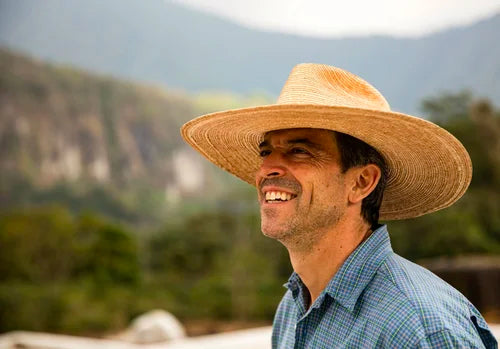 Arabica vs. Robusta: A Roaster's Guide to the Coffee You Drink