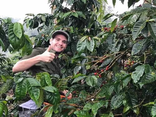 What kind of custom coffee programs do you offer?