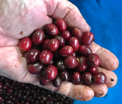 Can you create a custom or signature blend for my business?